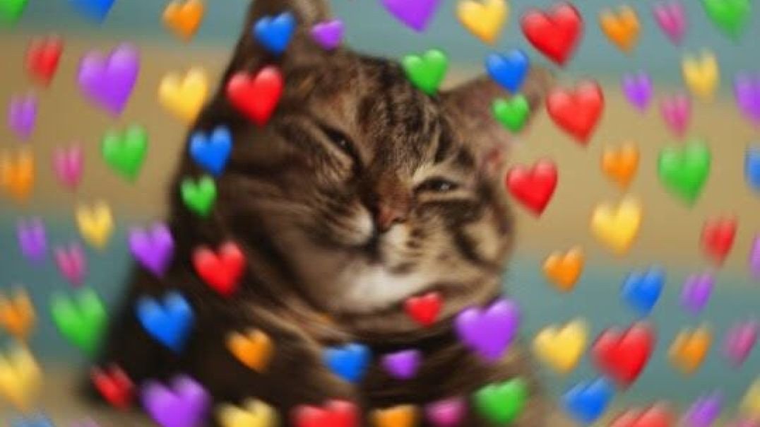 Kulhad Pizza Viral Video Link Download