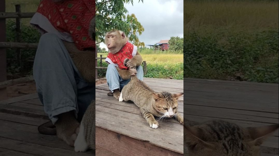 Vira Video SokYaa, OG, Pao & Mom Are Famous Meme Template Downloads